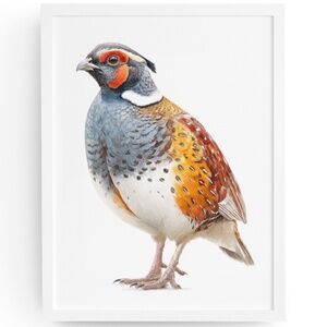 Watercolor Quail Wall Art Print, Unframed - Vibrant Nature-Inspired Home Decor